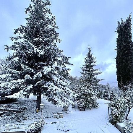 Mazzetti Country House-Vita In Campagna Con Giardino Vimignano-Chiesa Eksteriør bilde