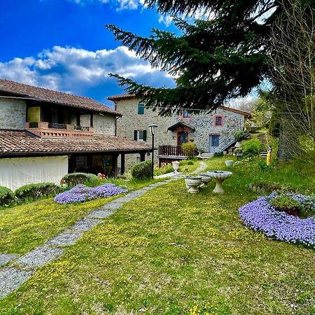 Mazzetti Country House-Vita In Campagna Con Giardino Vimignano-Chiesa Eksteriør bilde