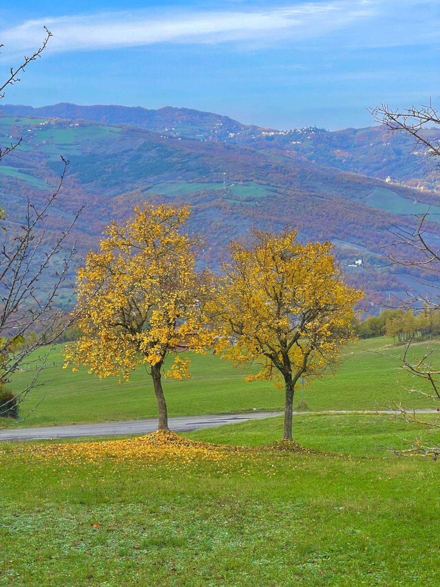 Mazzetti Country House-Vita In Campagna Con Giardino Vimignano-Chiesa Eksteriør bilde