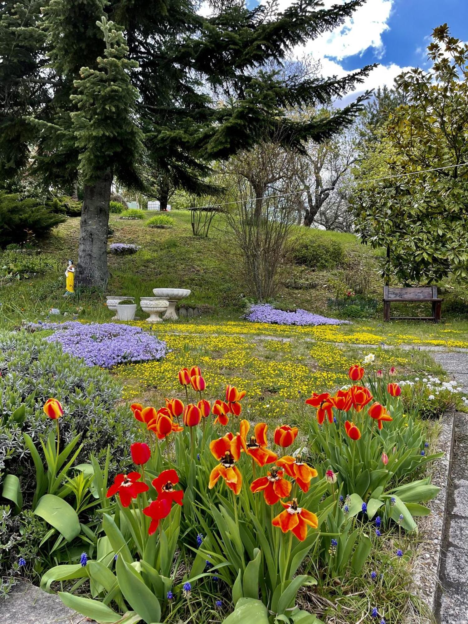 Mazzetti Country House-Vita In Campagna Con Giardino Vimignano-Chiesa Eksteriør bilde