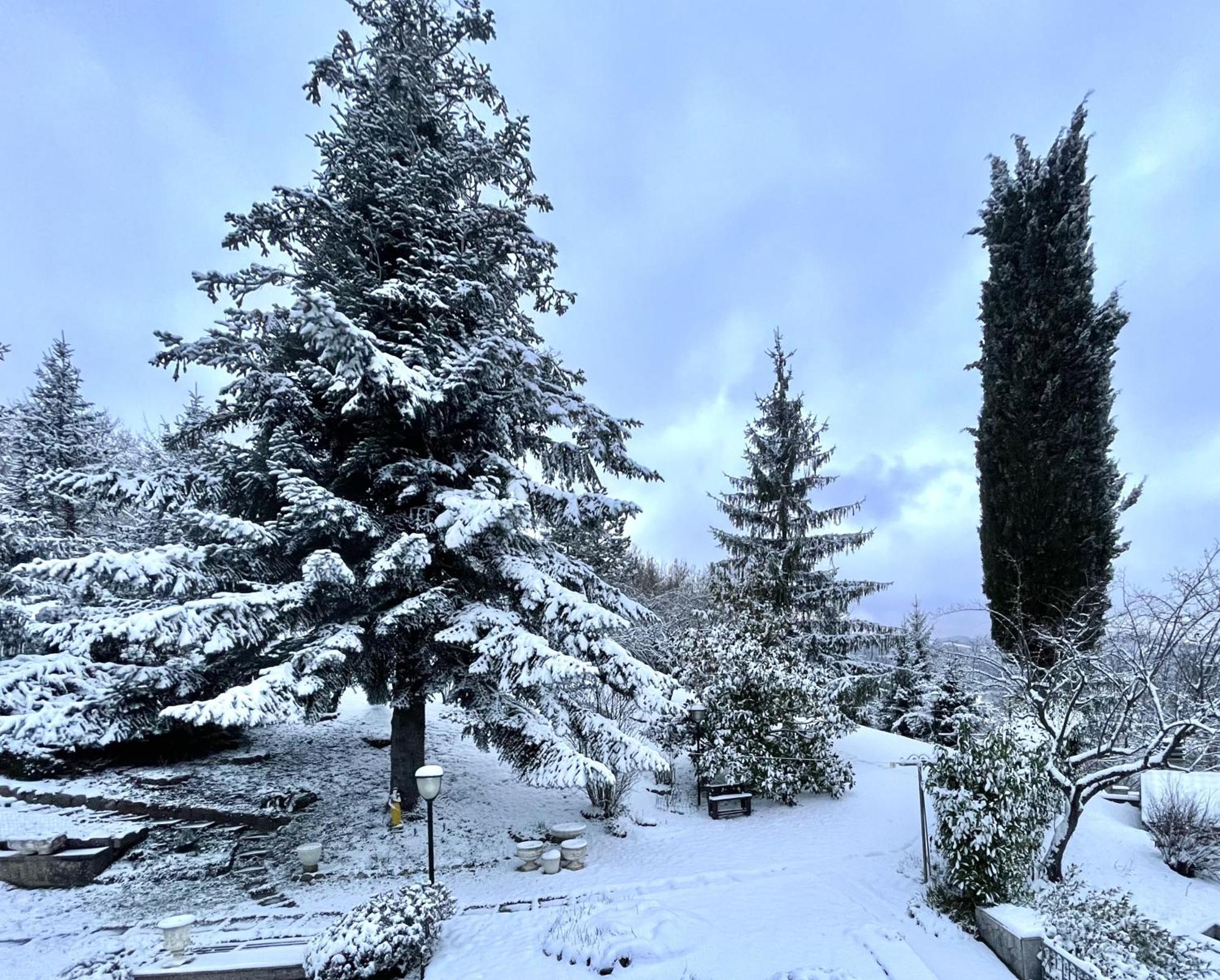 Mazzetti Country House-Vita In Campagna Con Giardino Vimignano-Chiesa Eksteriør bilde