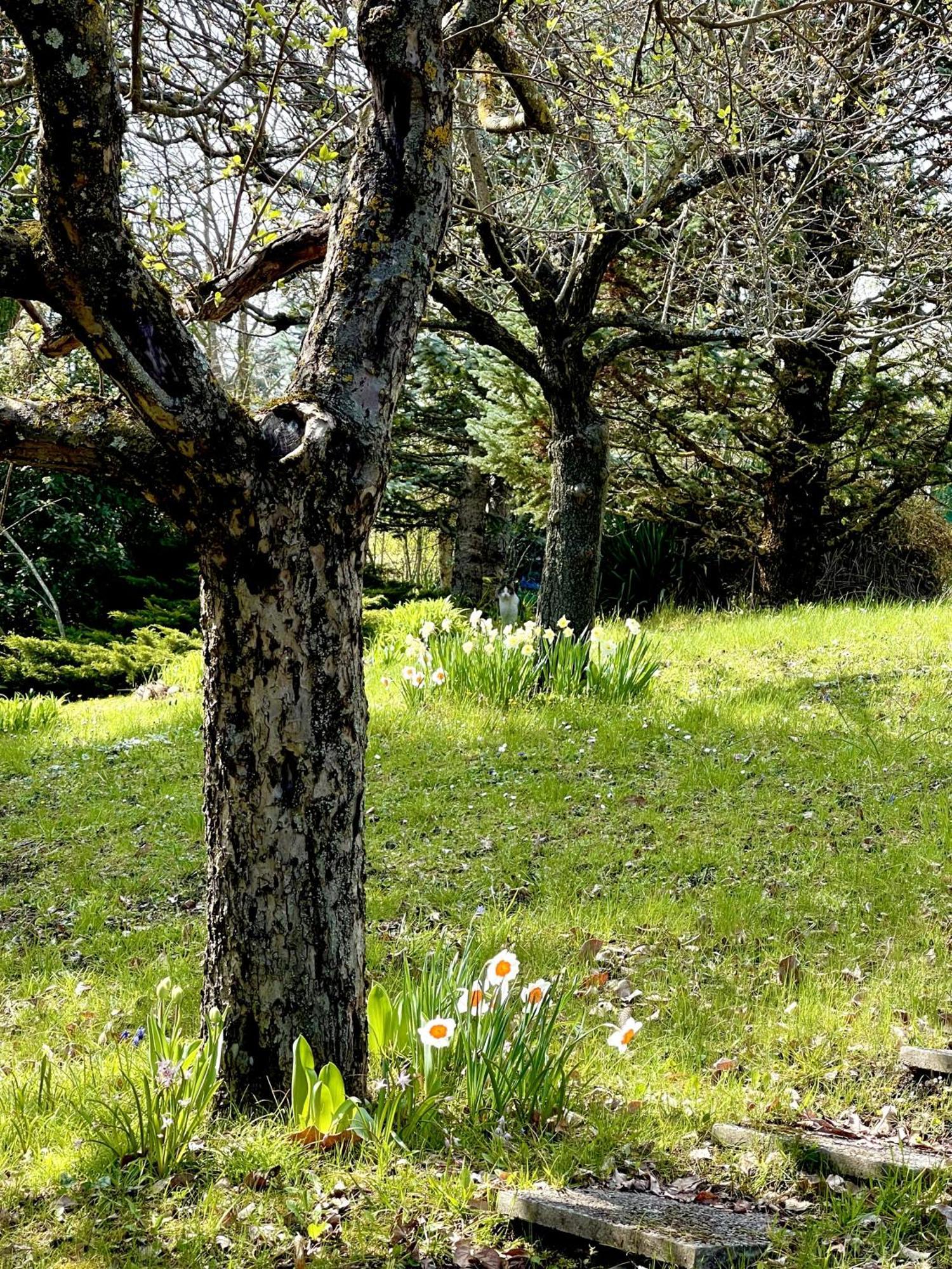 Mazzetti Country House-Vita In Campagna Con Giardino Vimignano-Chiesa Eksteriør bilde