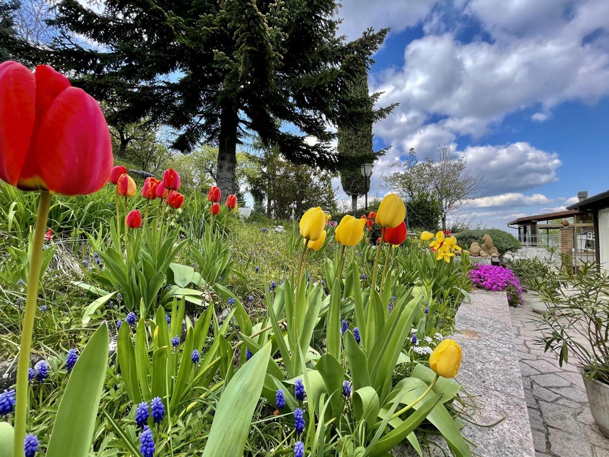 Mazzetti Country House-Vita In Campagna Con Giardino Vimignano-Chiesa Eksteriør bilde