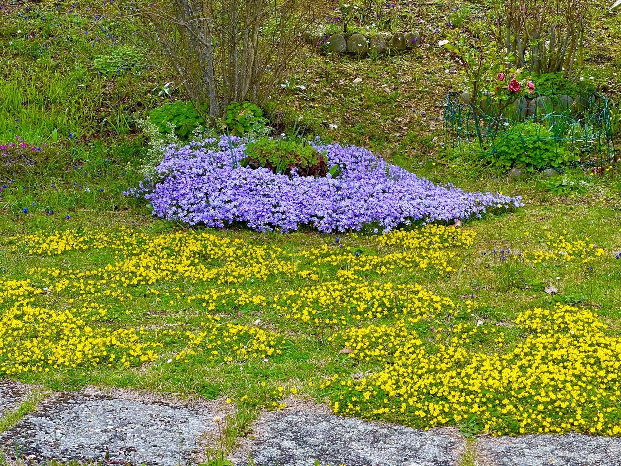 Mazzetti Country House-Vita In Campagna Con Giardino Vimignano-Chiesa Eksteriør bilde