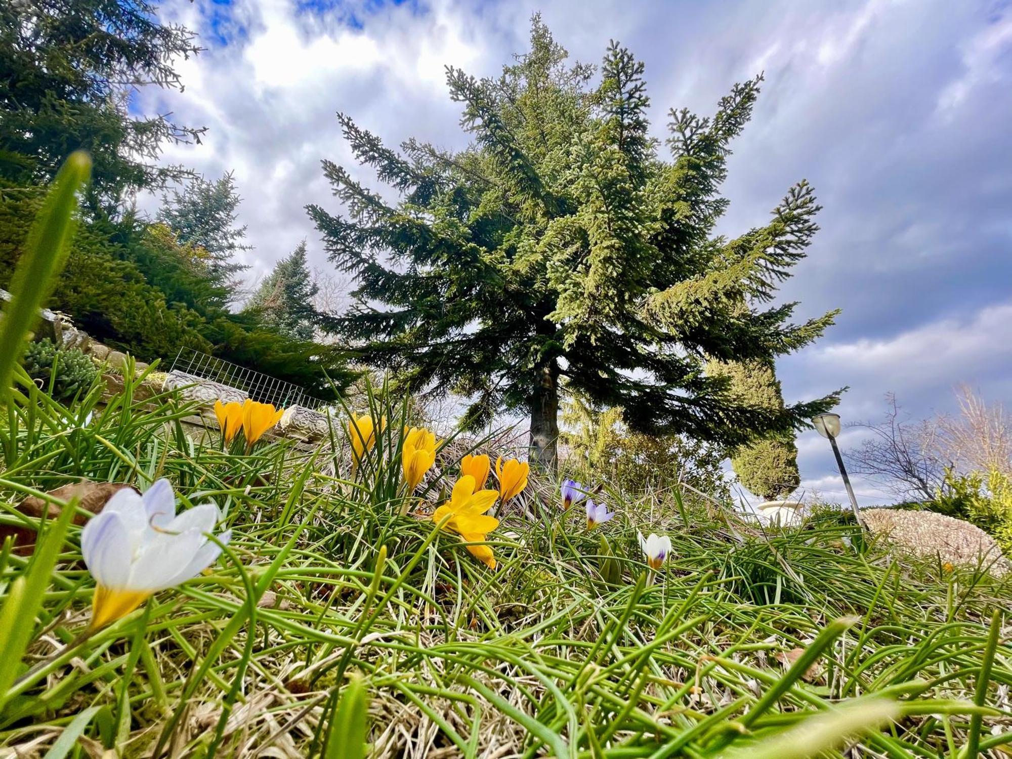 Mazzetti Country House-Vita In Campagna Con Giardino Vimignano-Chiesa Eksteriør bilde