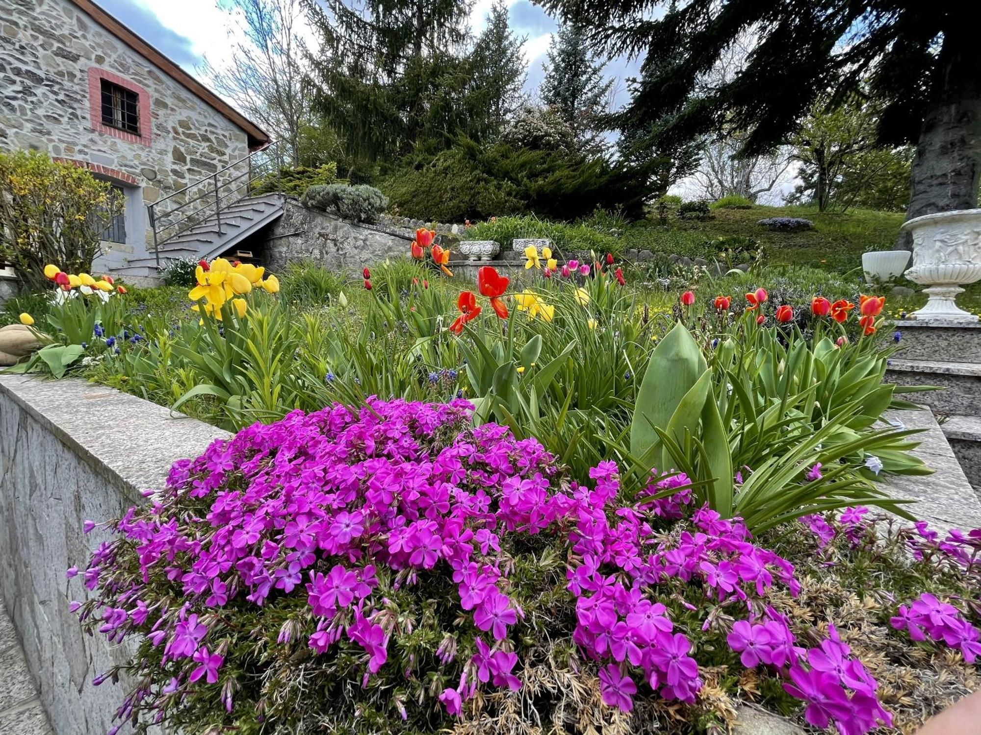 Mazzetti Country House-Vita In Campagna Con Giardino Vimignano-Chiesa Eksteriør bilde