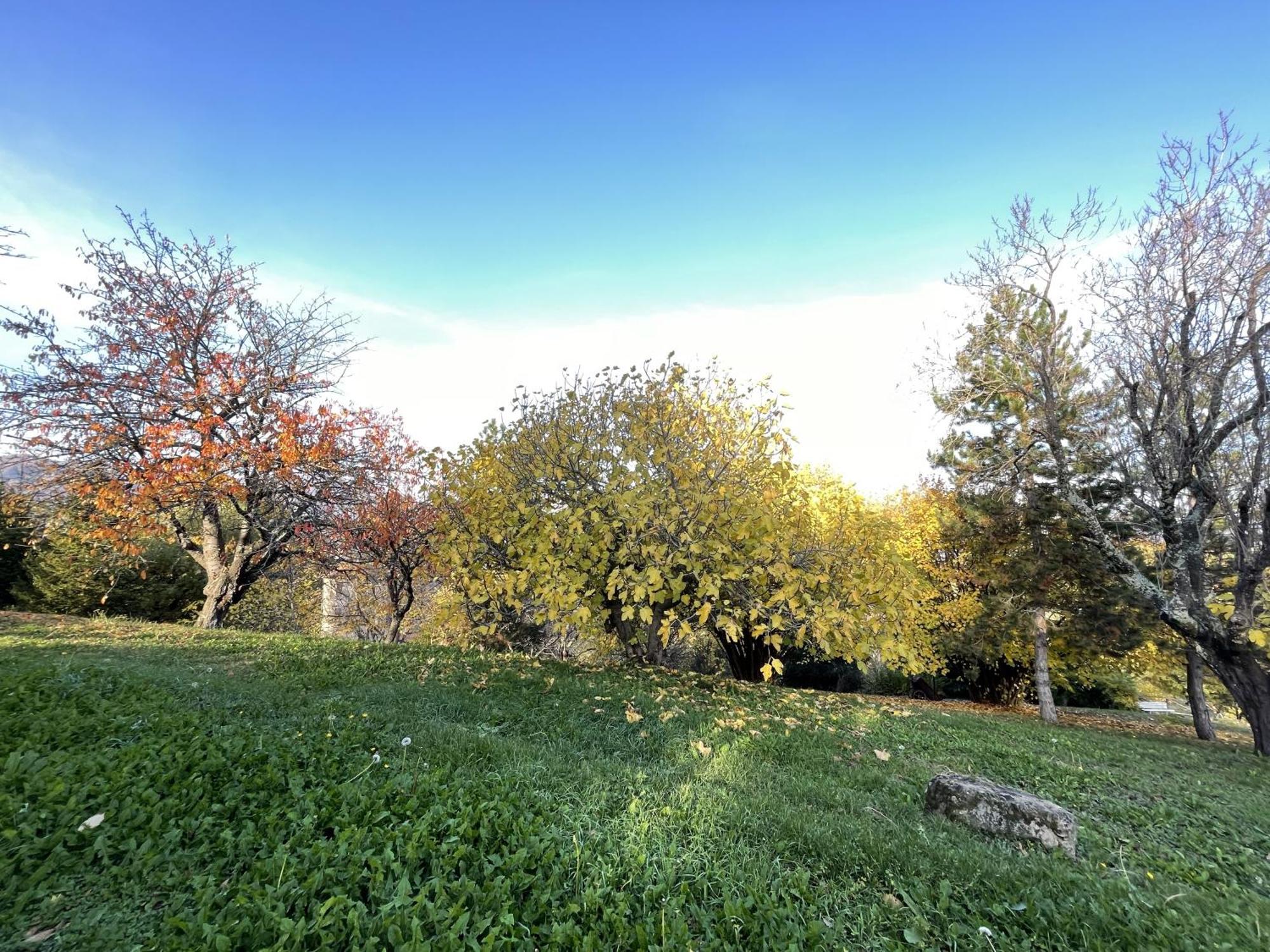 Mazzetti Country House-Vita In Campagna Con Giardino Vimignano-Chiesa Eksteriør bilde