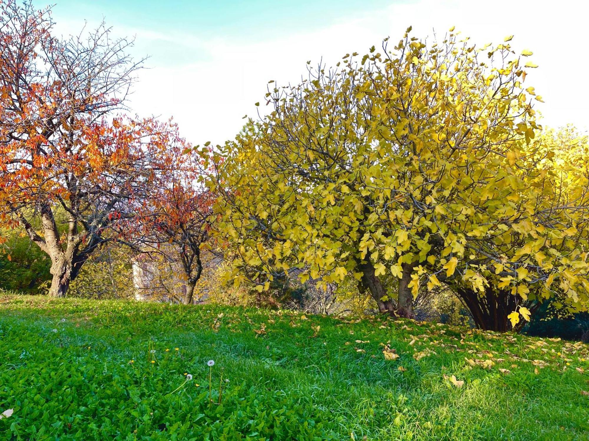 Mazzetti Country House-Vita In Campagna Con Giardino Vimignano-Chiesa Eksteriør bilde