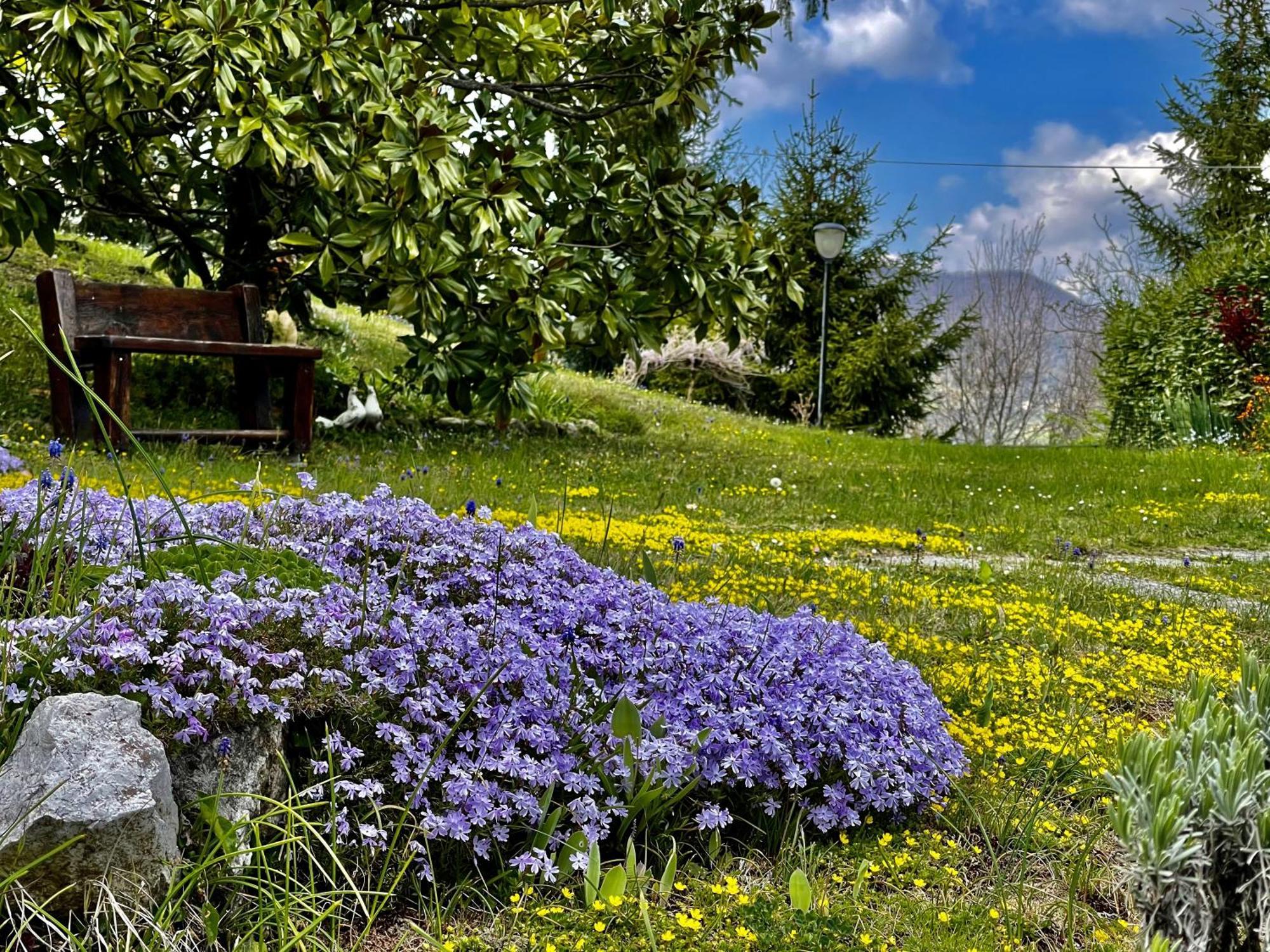 Mazzetti Country House-Vita In Campagna Con Giardino Vimignano-Chiesa Eksteriør bilde