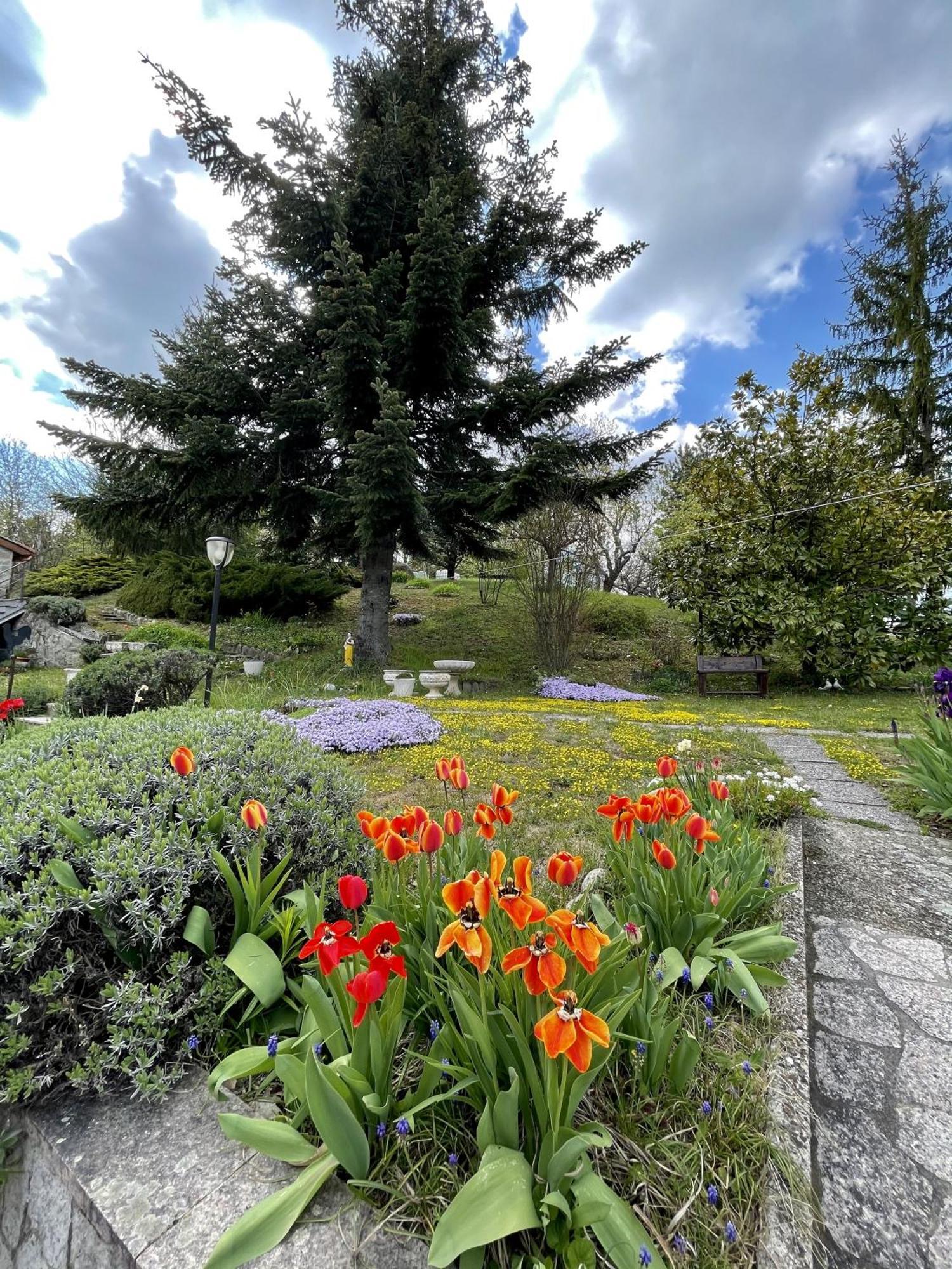 Mazzetti Country House-Vita In Campagna Con Giardino Vimignano-Chiesa Eksteriør bilde